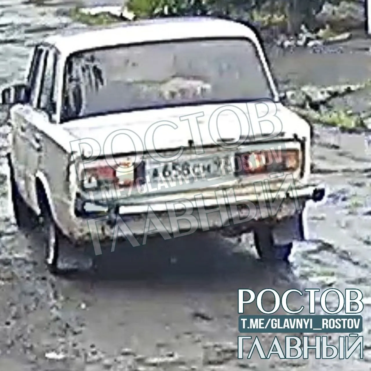 Жители сообщили о человеке, который днём срезал пионы под корень и грузил их в машину. На кадрах видны номера авто — просят помочь опознать.
