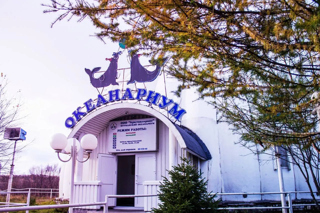 Сотрудники мурманского океанариума больше трёх месяцев остаются без выплат. Владелец здания арестован, ремонт затянулся, а судьба старых морских млекопитающих вызывает беспокойство специалистов.