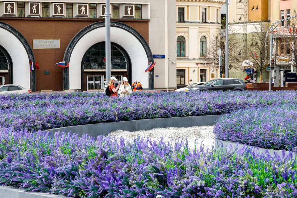 В центре Москвы на Лубянской площади установили большие клумбы с искусственной лавандой. Одни прохожие считают декор приятным, другие — критикуют расходы и запах пластика; эксперты спорят о стоимости, уместности и возможных экологических рисках.