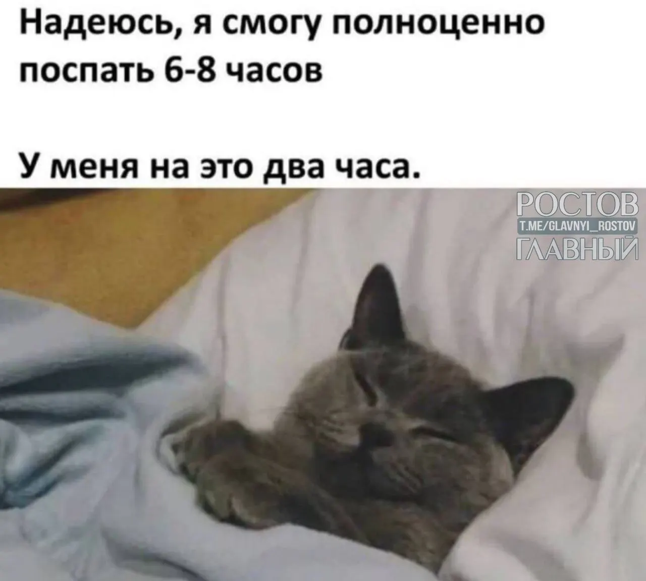 Туристы выбирают поездки в места без связи и интернета — популярны Подмосковье, юг России, Ленинградская область, Кавминводы и Алтай.