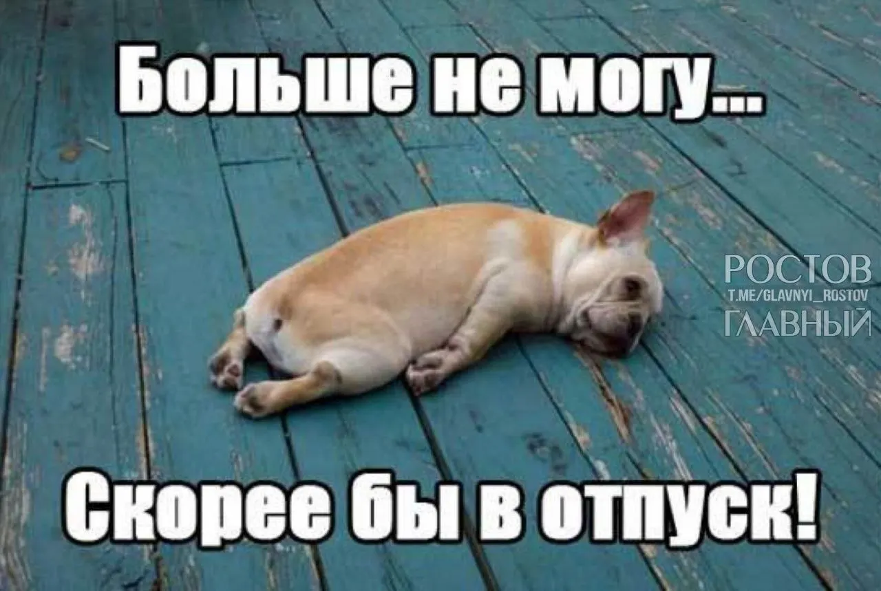 В Госдуме предложили повысить минимальный ежегодный отпуск до 35 дней, чтобы компенсировать выходные, включаемые в отпуск, и снизить риск профессионального выгорания.