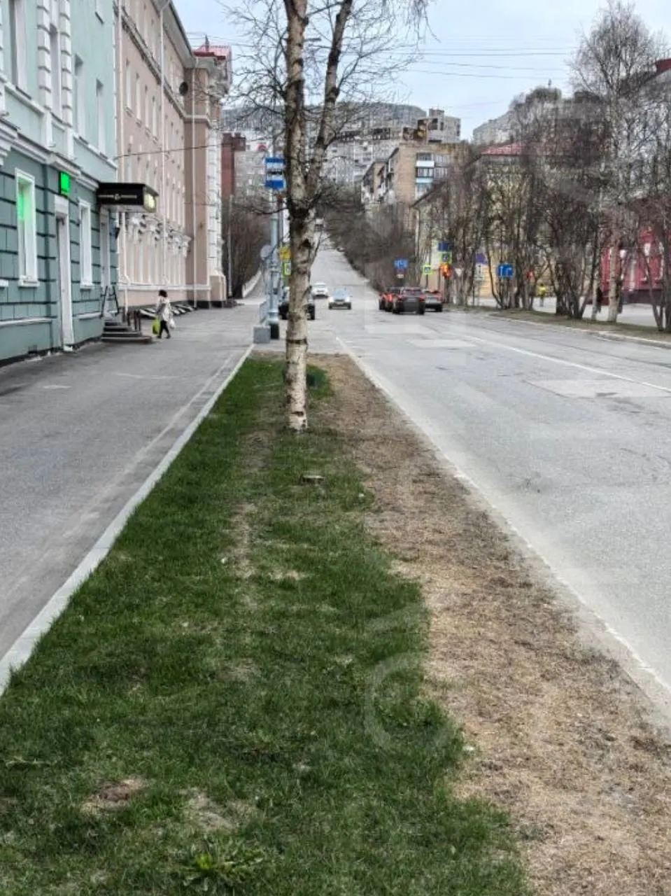 После зимней обработки улиц реагентами газоны в центре Мурманска пожелтели и почти полностью вымерли, что вызывает недовольство жителей и вопросы к коммунальным службам.