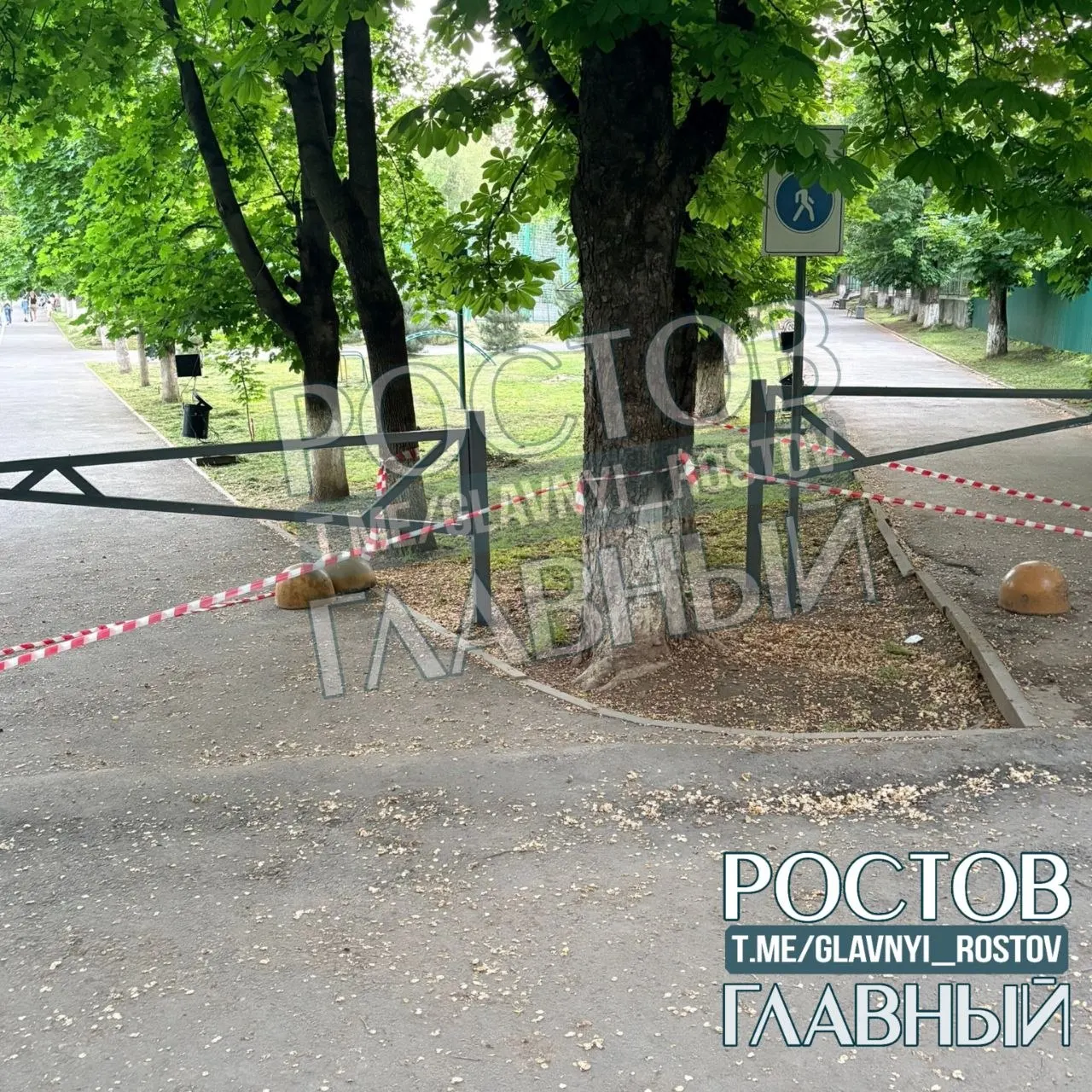 На входе в парк Октября со стороны Вавилова установили незаметные в темноте заграждения на тротуаре. Местные жители говорят, что это представляет угрозу для колясок, велосипедистов и детей — нет освещения и предупреждающих знаков.