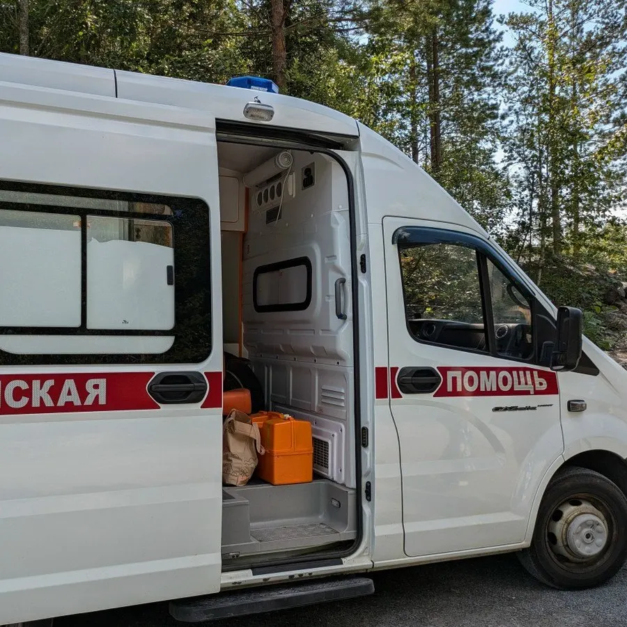 Вечером 20 мая в микрорайоне Соломенное на остановке алабай набросился на подростка. Ему зашили раны, назначили курс антирабической вакцины; родственники собираются обращаться в суд к хозяйке собаки.