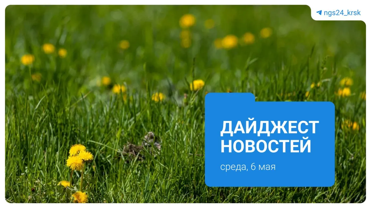 Краткий обзор: планы по деловому комплексу на Стрелке, поджог леса на Есауловской петле, пятикилограммовый арбуз с балкона, проект жилой высотки у «Красмаша», найденная сумка с останками и вопрос дня о том, что бы вы сказали себе в прошлом.