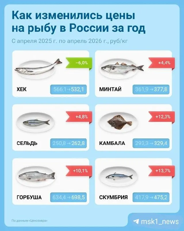 По данным Росстата, с начала 2026 года цены на кальмары выросли более чем на 5% за квартал, а лососёвая рыба продолжает дорожать — покупатели всё чаще проходят мимо рыбных прилавков.