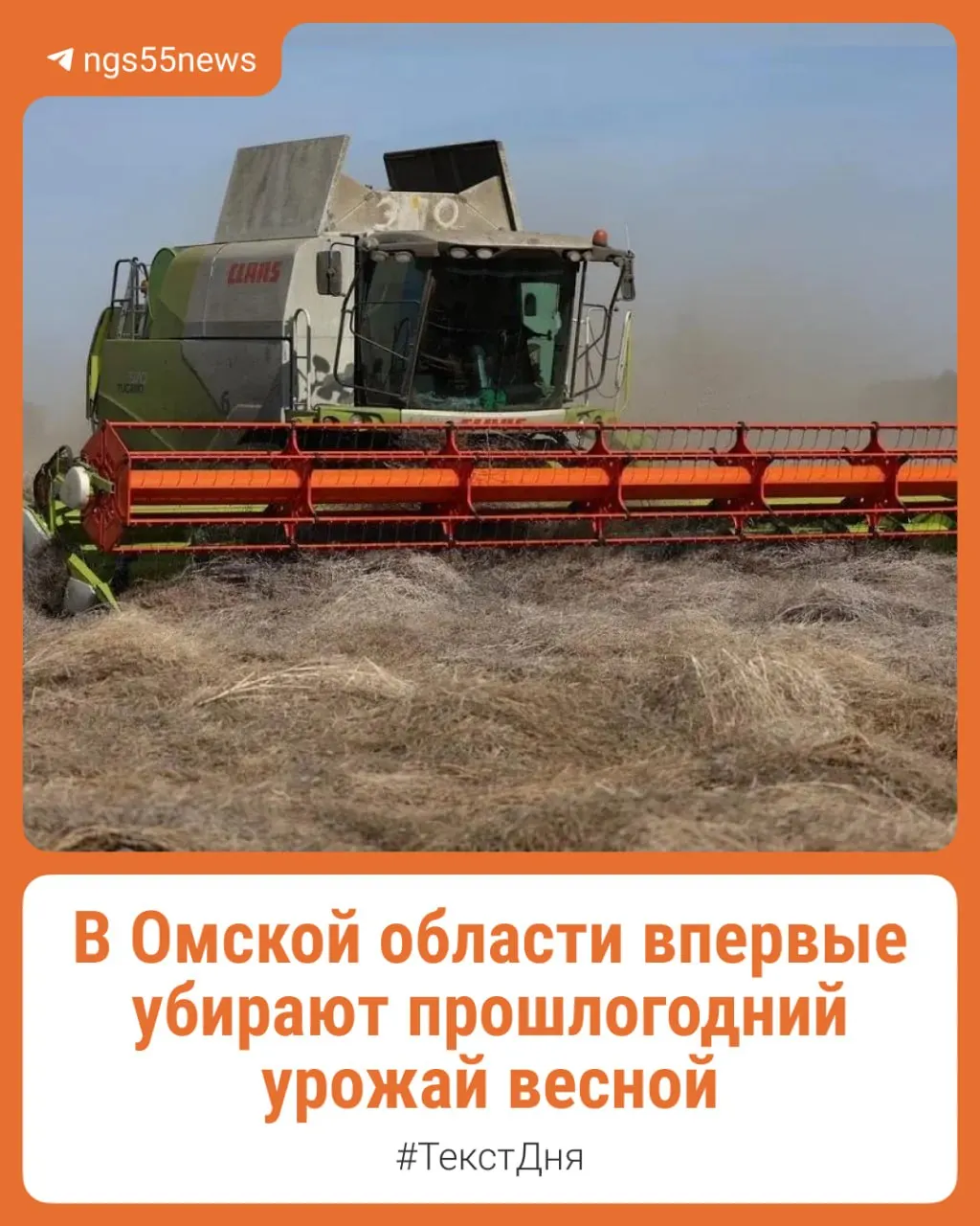 После ранних снегопадов осенью 2025 года десятки тысяч гектаров зерновых ушли под снег. Часть хозяйств решила не списывать потери и в середине апреля выставили комбайны, чтобы собрать оставшиеся культуры.