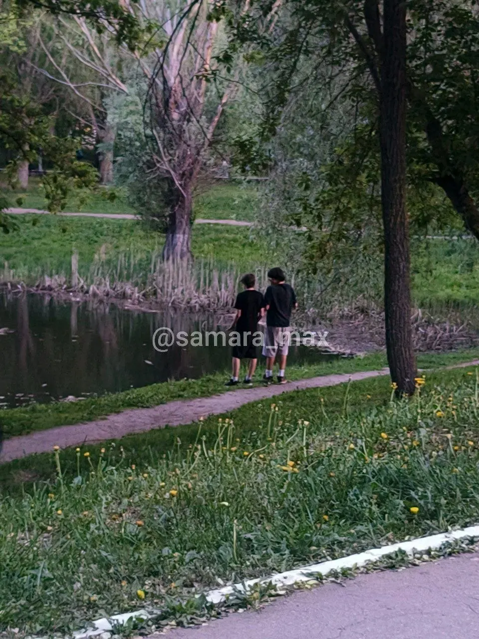 Очевидцы рассказали, что школьники сбросили электросамокат в воду на Воронежских озёрах и не пытались его вытащить.