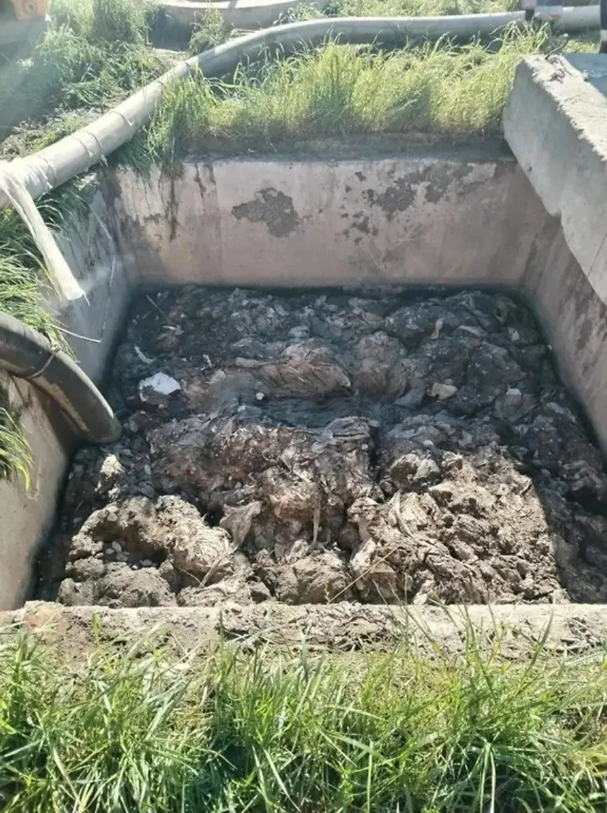 Арбитраж признал абонентов виновными в нарушении правил водоснабжения — запрещено выбрасывать в канализацию волокнистые материалы длиной более 3 см. Пострадавшие сети отремонтируют за счёт нарушителей.