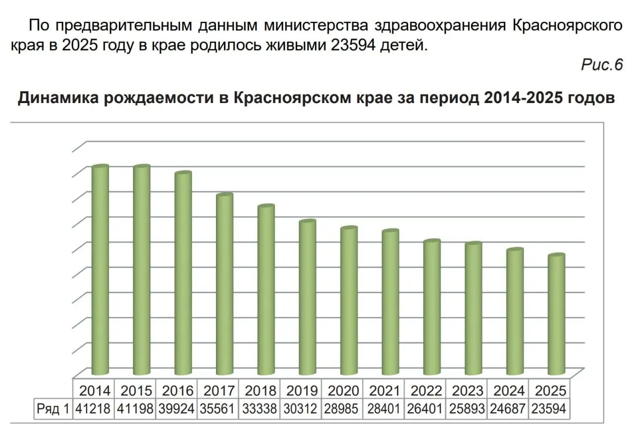В докладе уполномоченной по правам ребёнка содержится таблица, согласно которой число родившихся в регионе с 2014 года сократилось почти в два раза. После прекращения публикаций Росстата и Красноярскстата такие данные стали редкостью.