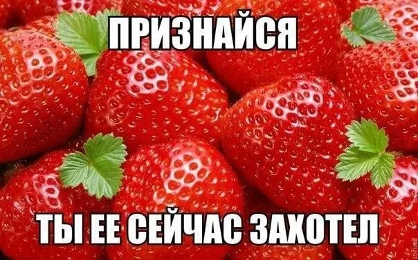 С 30 мая ярмарки перейдут на летний режим: торговля будет с 8:00 до 15:00. Из-за жары не будут предлагать мясо и молочные продукты, но можно купить зелень, овощи, фрукты, ягоды и хлеб.