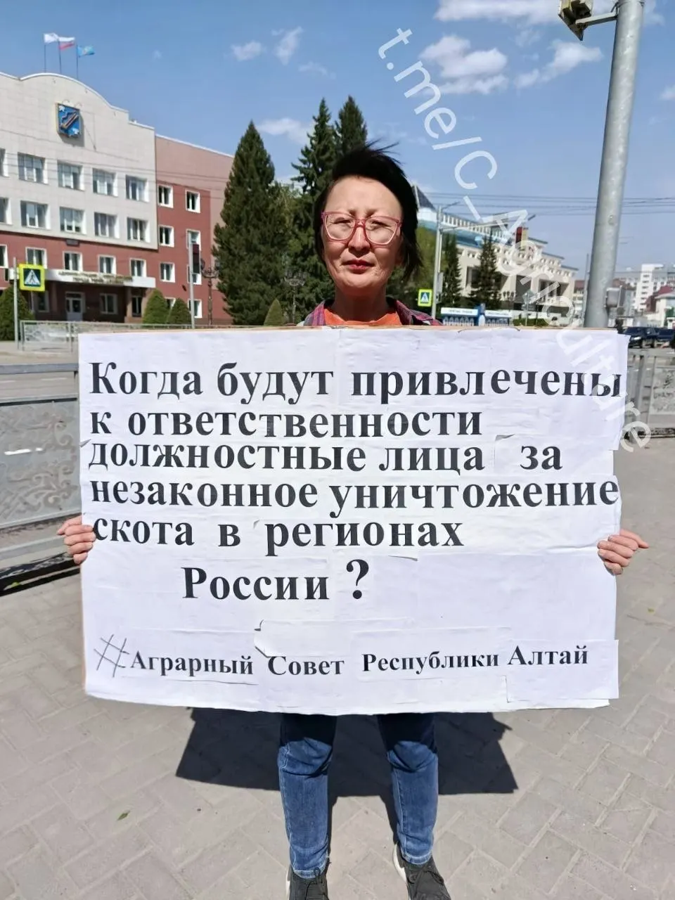 Жительница Республики Алтай, ветврач по образованию, провела одиночный пикет с требованием привлечь к ответственности чиновников, которых обвиняют в незаконном изъятии и уничтожении сельскохозяйственных животных в сибирских регионах.
