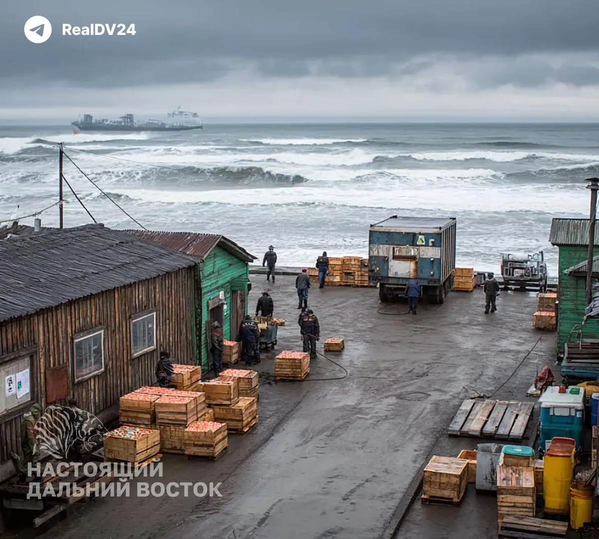 Студент из Уфы рассказал о тяжёлой вахте на Камчатке: восьмичасовой график, минимум сна, неблагоприятные бытовые условия и низкий заработок из‑за плохого улова.