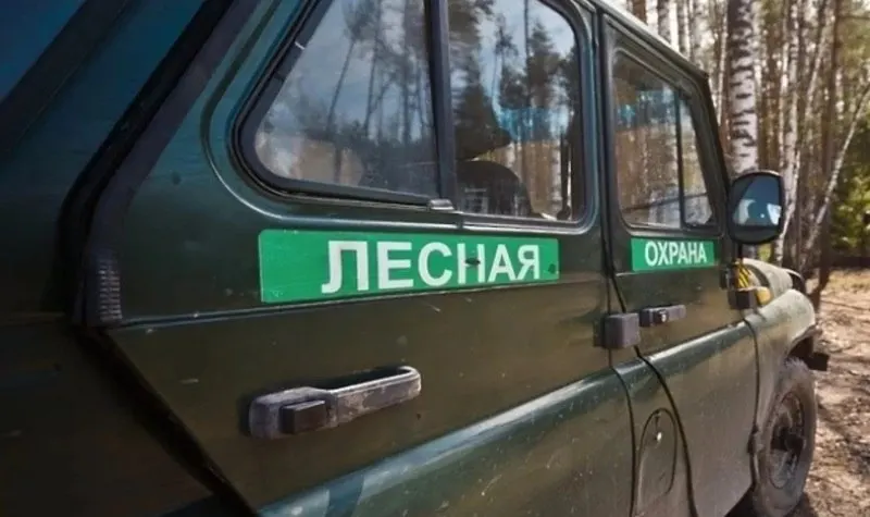 Департамент лесного хозяйства объявил набор общественных лесных помощников: после обучения добровольцы будут патрулировать леса, проводить разъяснительную работу и сообщать о пожарах и нарушениях. В регионе действует особый противопожарный режим.