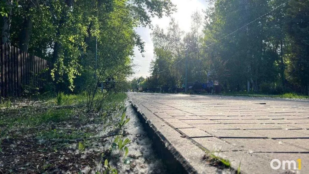 После майских праздников в разных частях города, в том числе в Советском парке, появились скопления тополиного пуха. Аллергикам и родителям следует быть внимательнее: пух вызывает аллергию и легко воспламеняется.