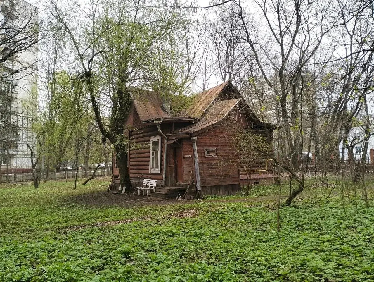 В Новогиреево планируют снос последнего деревянного исторического здания — дачи актера Дикого. Местные отмечают утрату статуса объекта культурного наследия и боятся полной утраты исторического облика района.