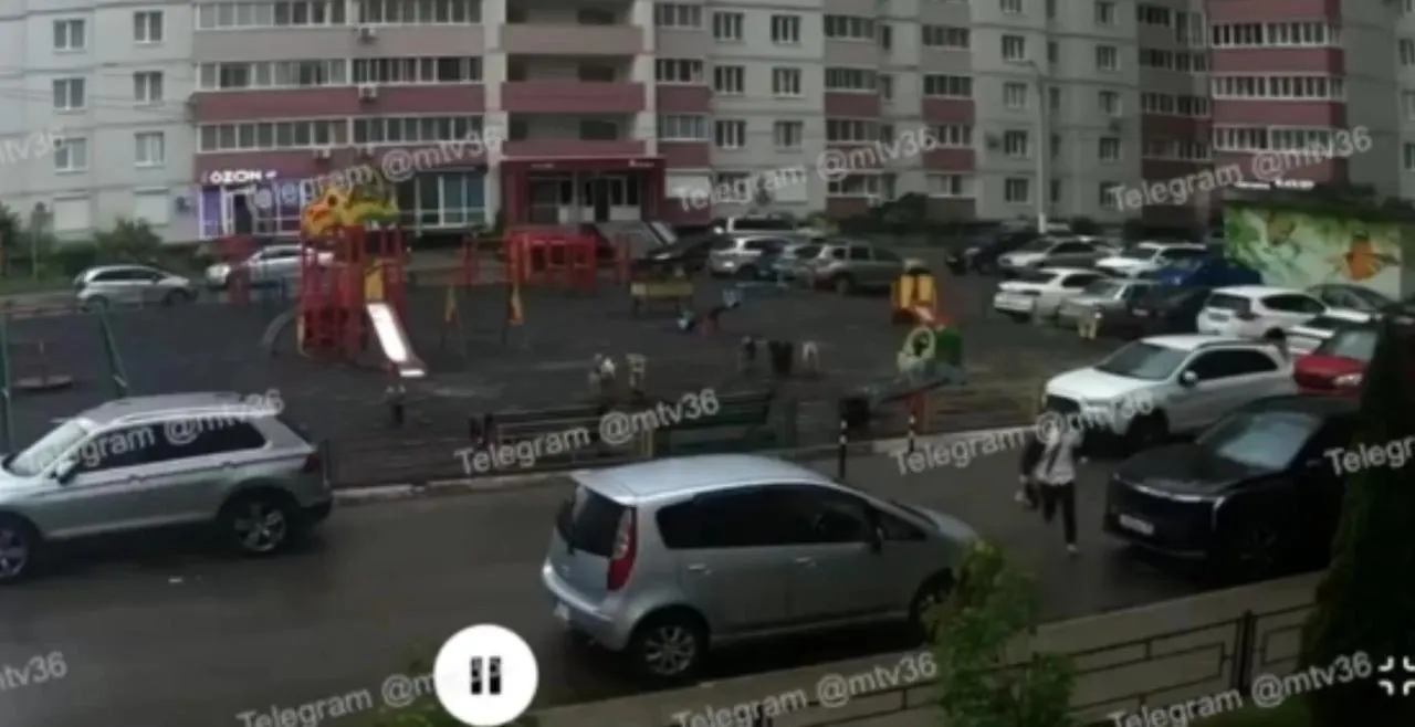 Ребёнок сумел убежать. По словам очевидцев, собаки весь день нападали на детей и жителей района; по факту происшествия возбуждено уголовное дело.