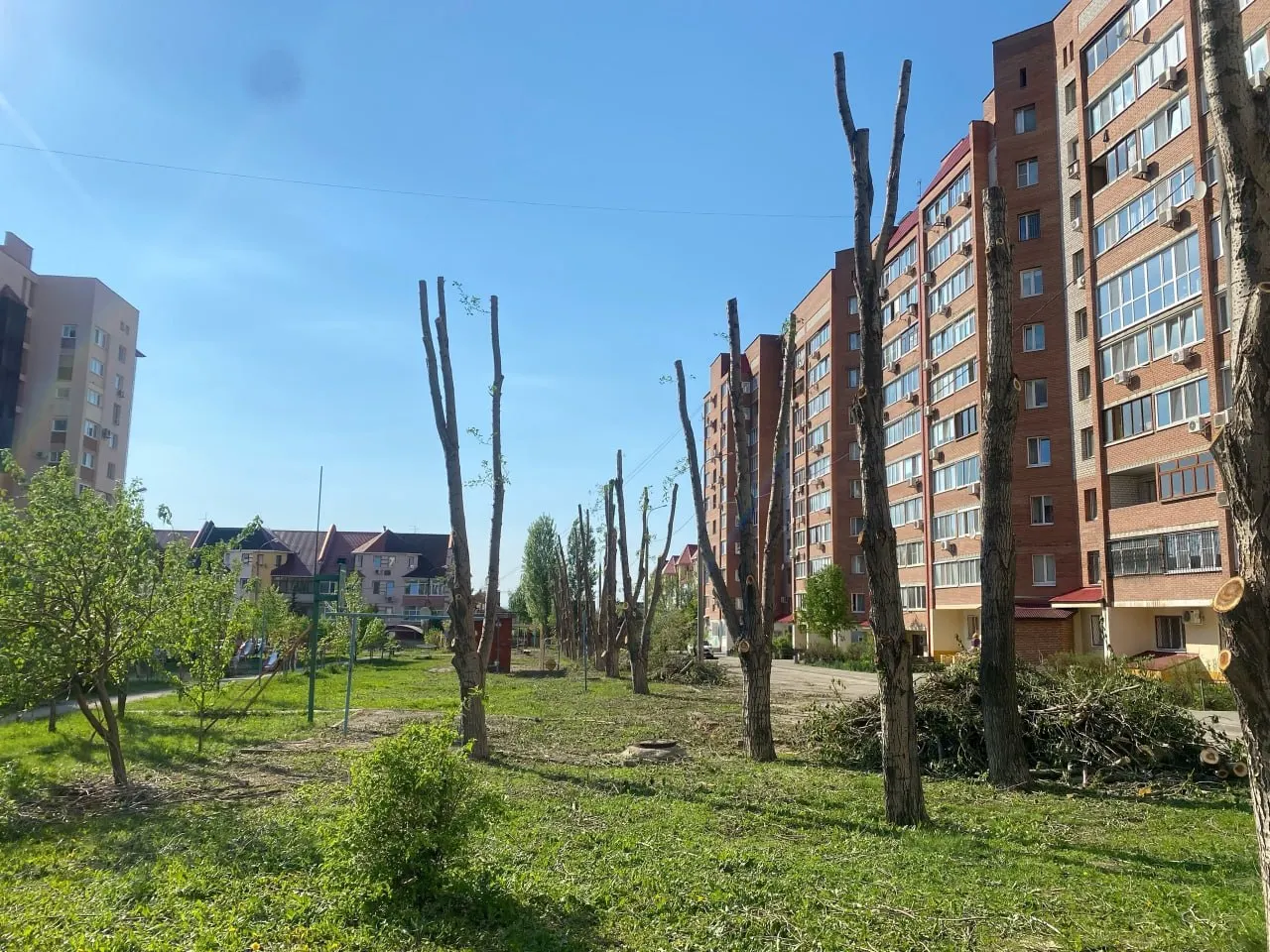 На улице Ташкентская, 248 местные жители обнаружили спиленные деревья, которые, по их словам, росли более 20 лет. Горожане сомневаются в обоснованности работ и переживают за зелёные насаждения и качество воздуха.
