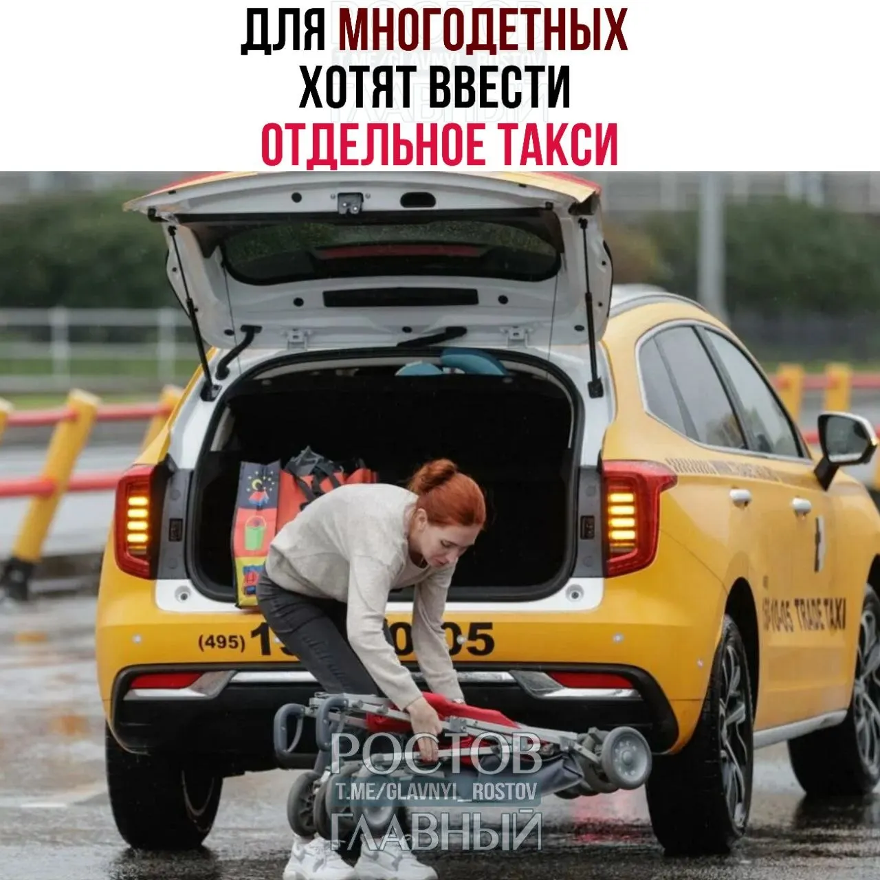 Инициатива предусматривает отдельную службу перевозок для льготных категорий — бесплатные поездки в больницы, аптеки и госучреждения; обсуждается также ограничение допуска мигрантов к работе в сервисе.