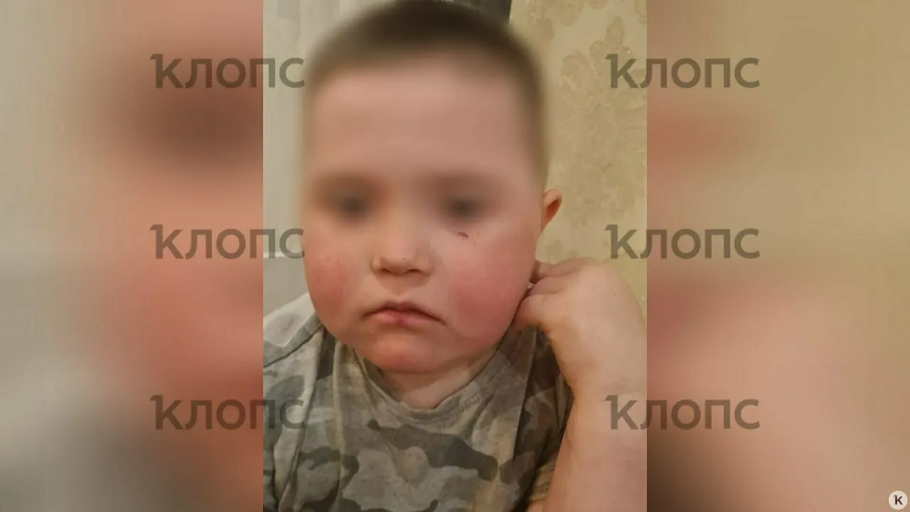 Мировой суд назначил штраф 8 тыс. руб. мужчине, который, по версии следствия, бросал камни и кости в салон автомобиля; пострадал 7‑летний мальчик с инвалидностью.