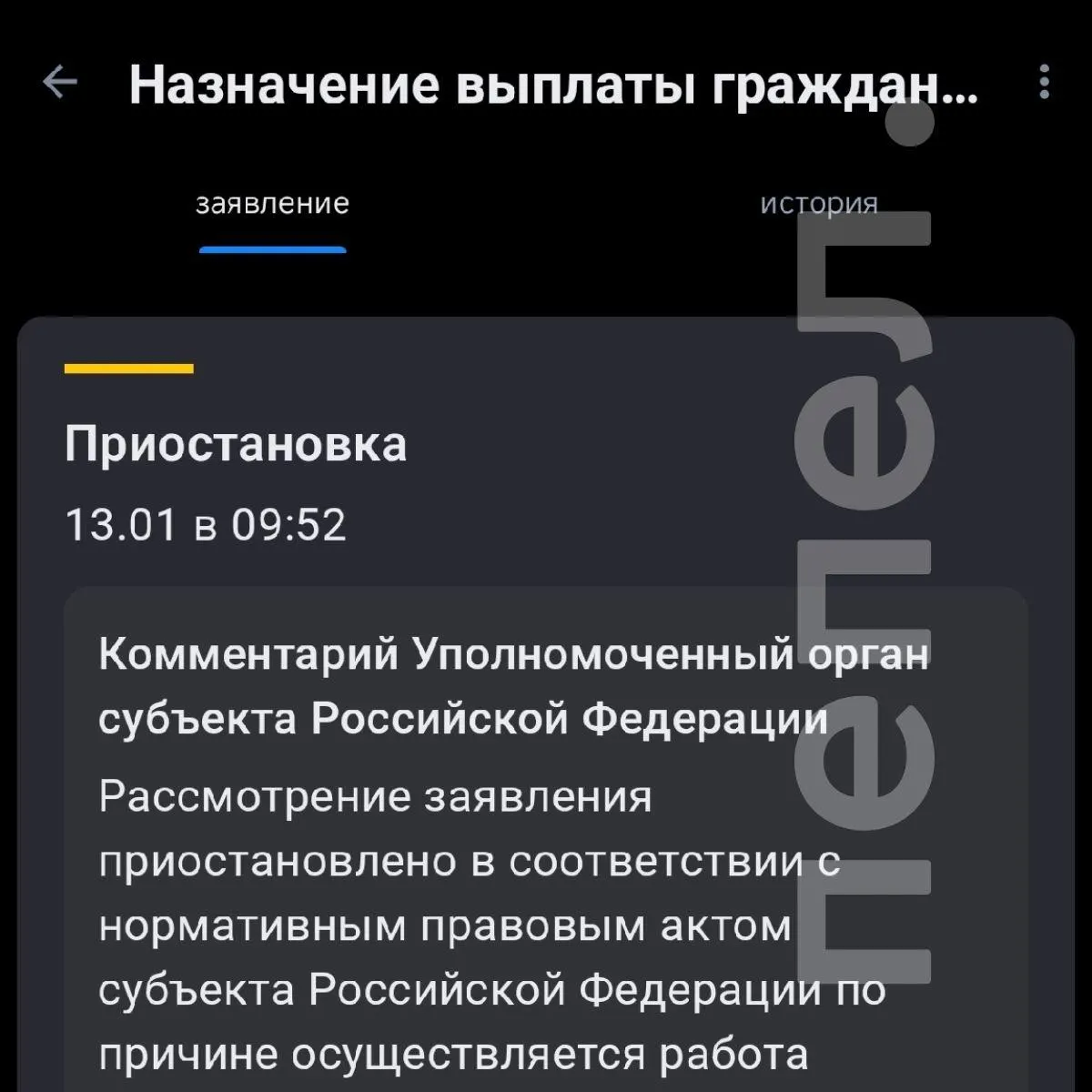Соцзащита заявила, что не будет выплачивать компенсацию за полную утрату имущества жителям Козинки, поскольку ранее они уже получили выплаты за частичную утрату; рассмотрение одного из заявлений приостановлено с 13 января.