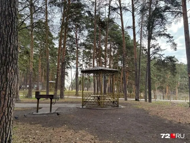 Жители Тюмени спорят о беседках с мангалами в Гилевской роще. Власти сообщают, что реконструкция не запланирована, а демонтаж или увеличение числа беседок в 2026 году не планируется.