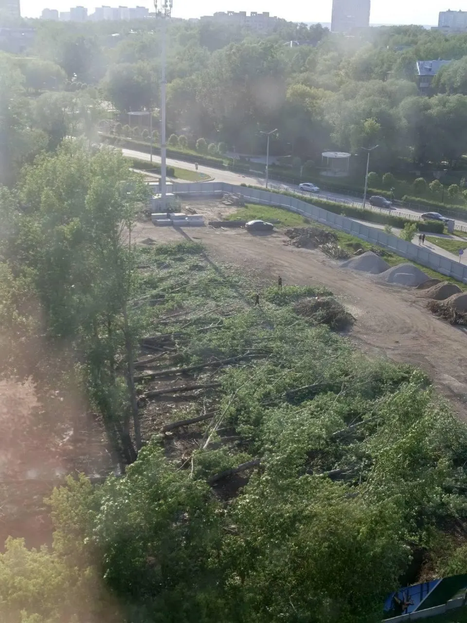 У стадиона в Перми срубили полувековые тополя, которые защищали территорию от выхлопов и ветра. Местные жители в шоке — протесты против застройки продолжаются уже несколько лет.