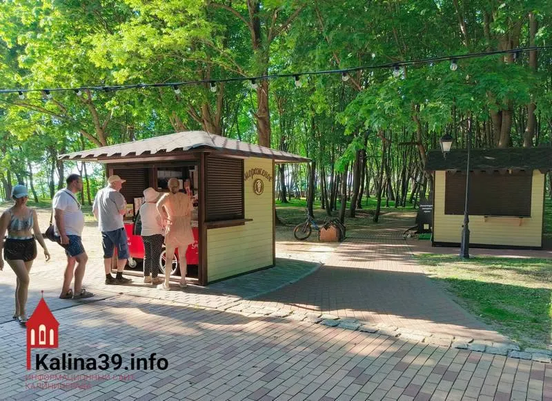 4 июня в Янтарном пройдут слушания по проекту реорганизации парка «Янтарный» (парк Беккера). Жители жалуются на слабое информирование, а детали возможных изменений в документах остаются расплывчатыми.