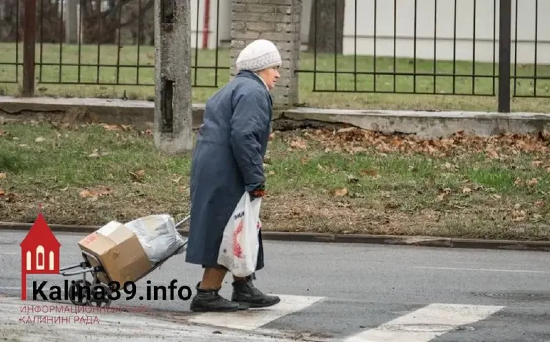 Свыше 46 тыс. неработающих пенсионеров региона получают пенсии ниже установленного на 2026 год прожиточного минимума в 16 776 ₽; им положена автоматическая региональная доплата.