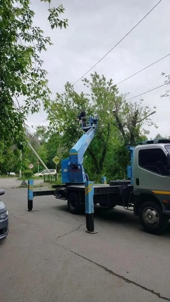 Жильцы района политеха в Иркутске жалуются на радикальную кронировку деревьев: боятся, что ветки останутся на дороге и создадут опасность. Из‑за неясности, кто проводит работы, люди вызвали полицию.