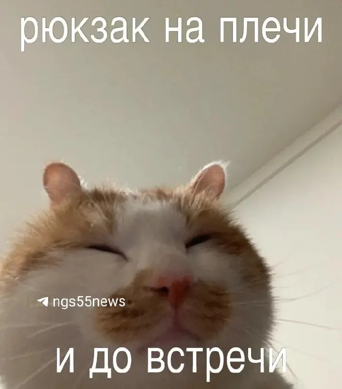 На 1 января 2025 года в регионе проживали 1 805 806 человек; снижение объясняют миграцией и естественной убылью, при этом данные о числе умерших за 2024 год ограничены.