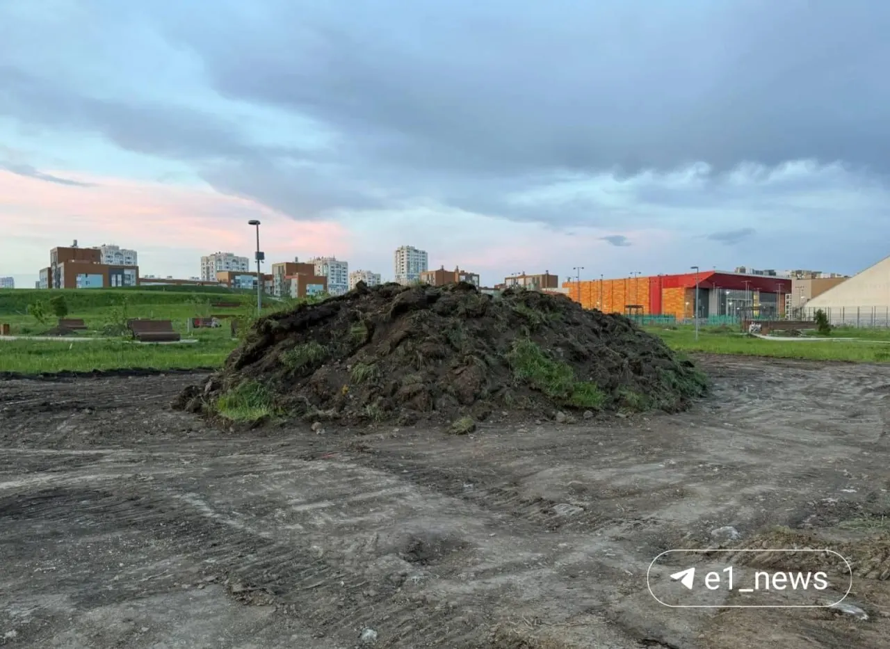 В парке заметили строительную технику и разрытые участки. В администрации заявили, что там планируют посадить деревья и обустроить спортивные и детские площадки.