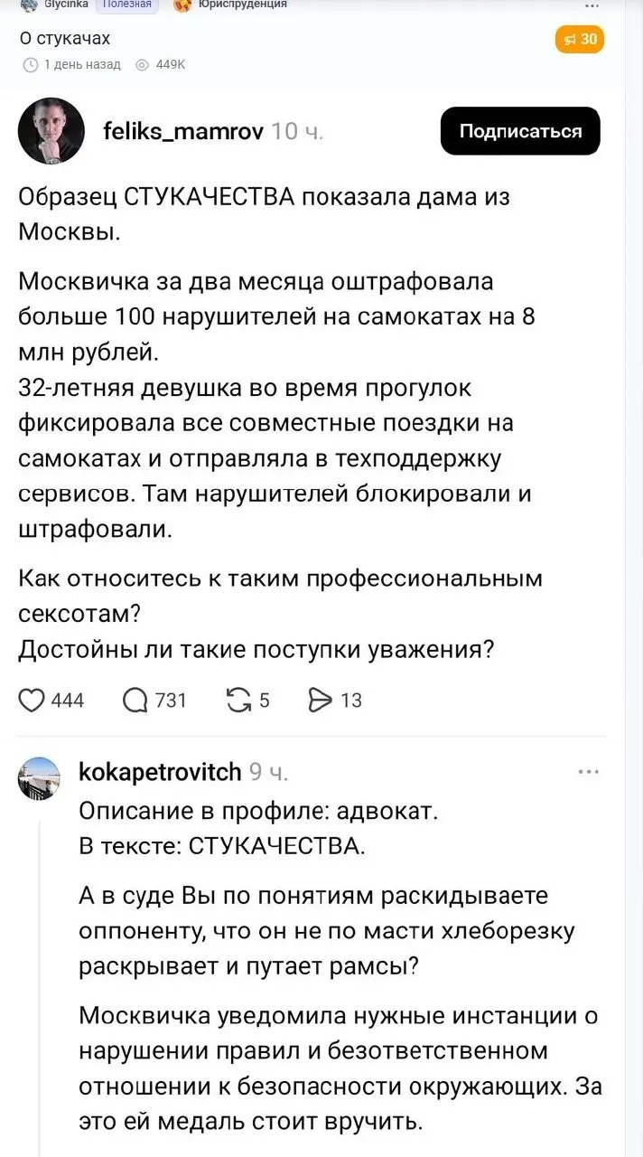Феликс Мамров назвал «стукачкой» женщину, фиксировавшую массовые нарушения на электросамокатах. Публикация вызвала волну критики, более 1000 комментариев и утечку персональных данных адвоката.