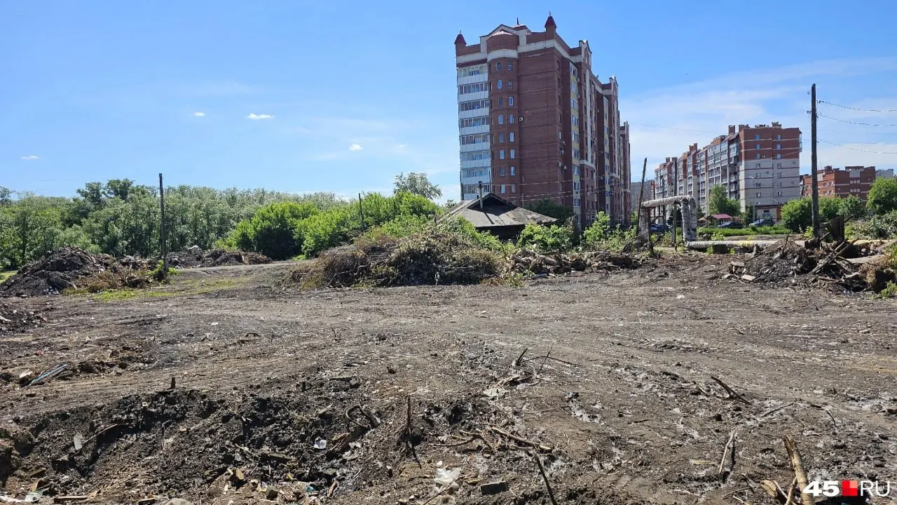 На месте аварийных домов у ЦПКиО в Кургане разбирают постройки и расчищают участок под парк «Дерево жизни». Проект благоустройства оценивают в 63,9 млн рублей, завершить работы обещают до 15 октября.