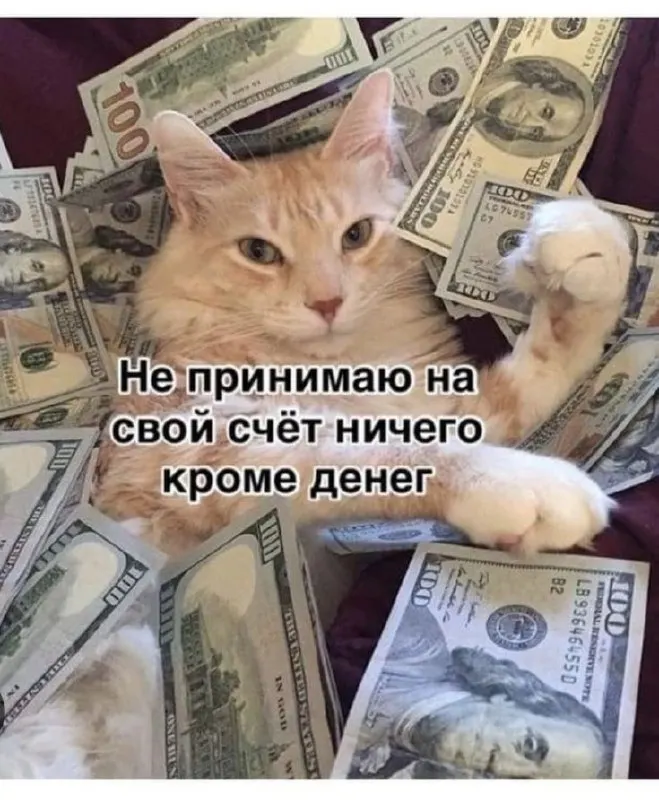 Сотрудник ДУИ Рашид Галимов лишился должности после проверки прокуратуры: при годовом доходе в 2,5 млн рублей у него обнаружили 10 млн на покупку квартиры; по его словам, 6,4 млн были подарены.