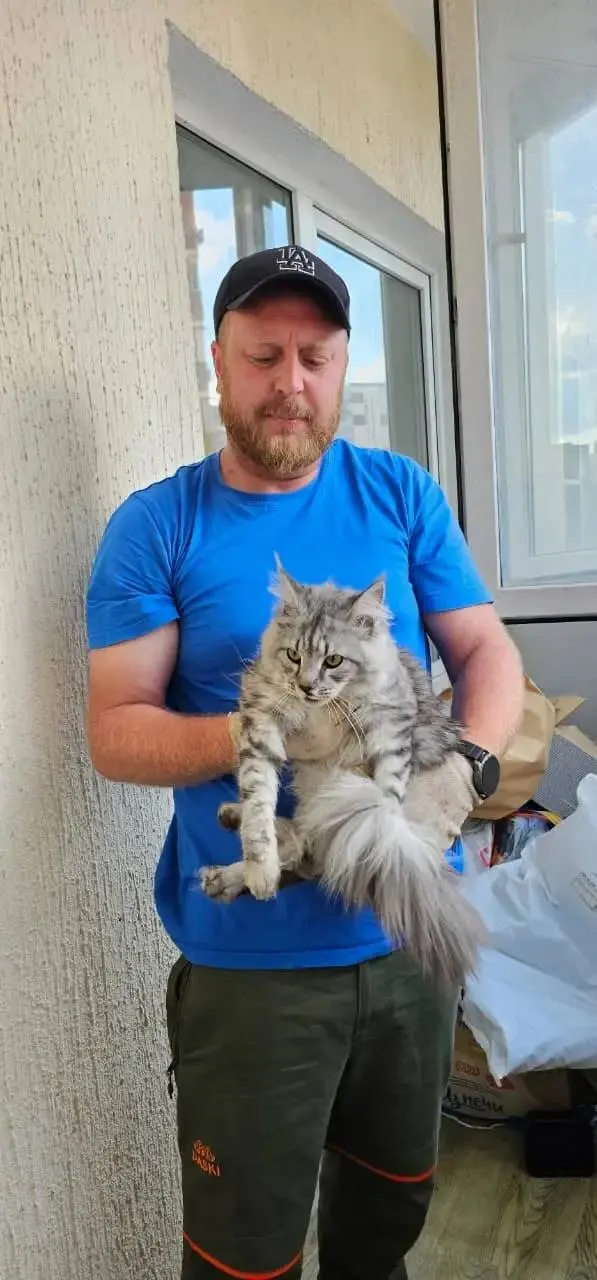 Спасатели вытащили кота, который после падения с окна шестого этажа застрял на выступе третьего; животное вернули хозяйке целым и невредимым.