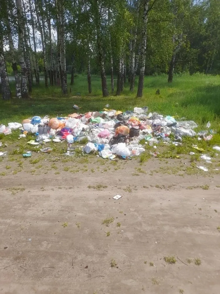 Руководитель зоопарка обратился к жителям после обнаружения мусора на берегу карьера рядом с парком и призвал начинать заботу о природе с простых ежедневных действий.