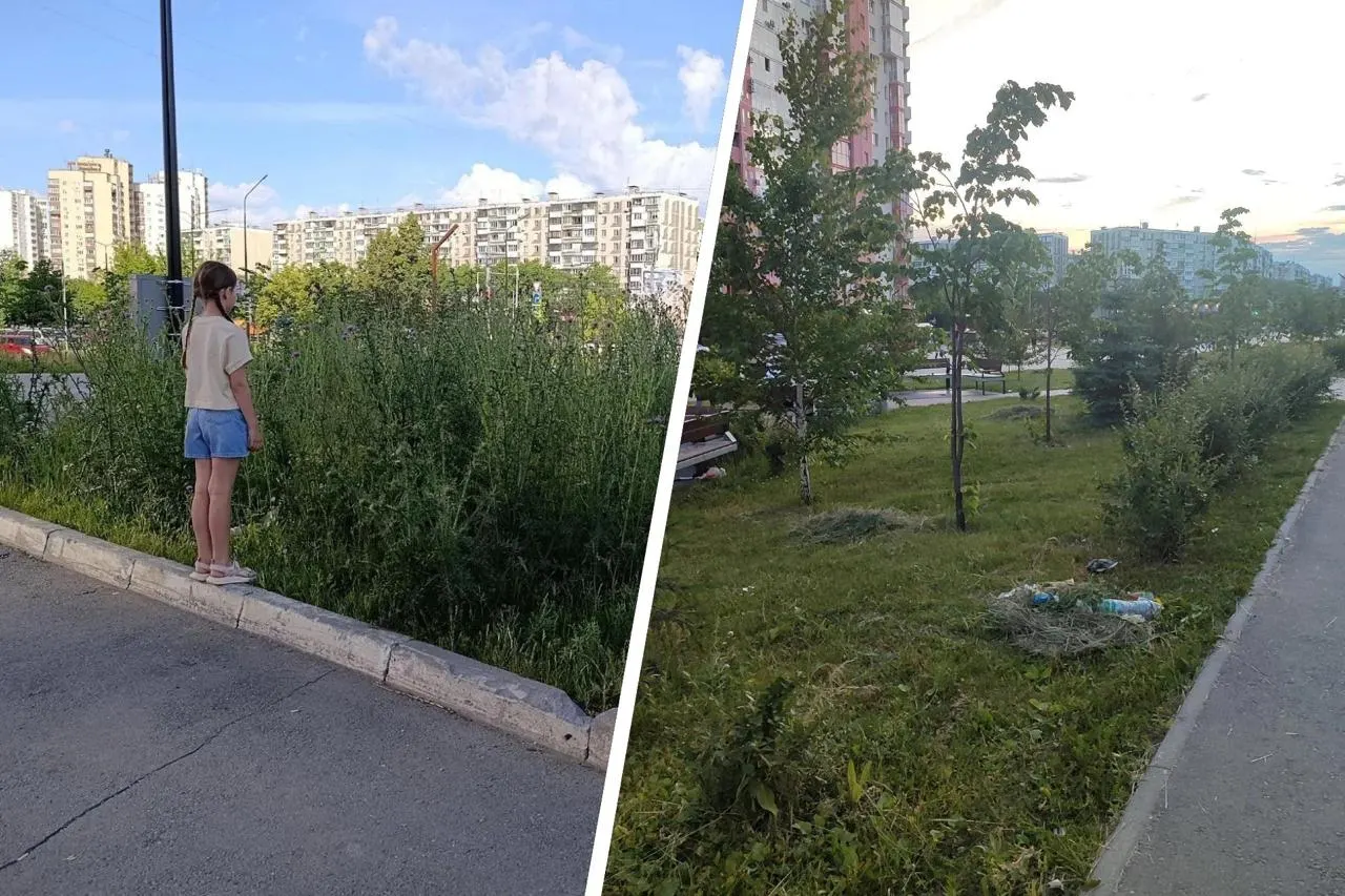 В сквере на 40-летия Победы после жалоб жителей скосили высокую поросль. По словам читательницы Екатерины, скошенную траву оставили кучами прямо на газонах.