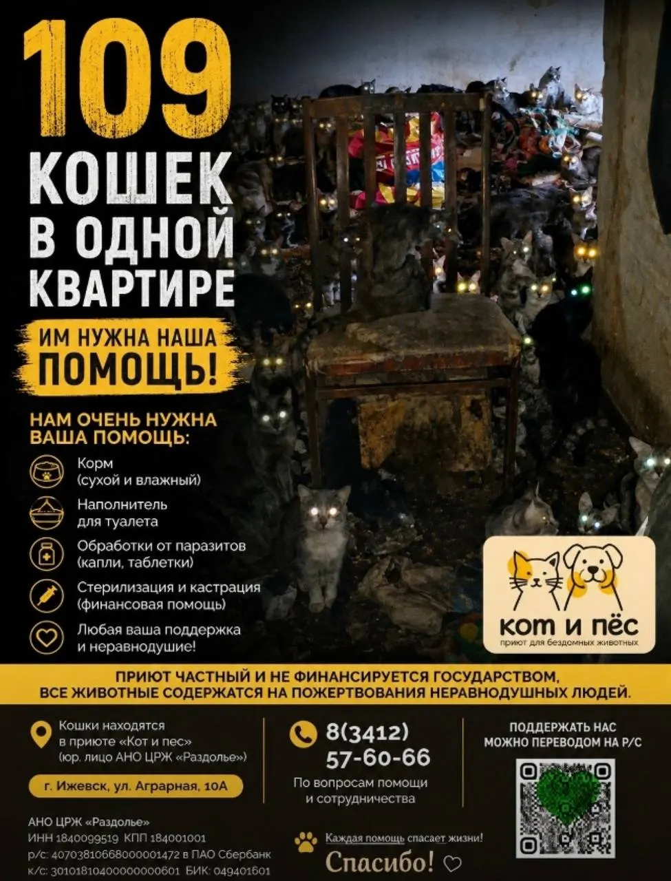 Из переполненной квартиры в Ижевске вывезли 109 кошек и котят. Приют просит помощи: нужны добровольцы, корм, наполнитель и финансовая поддержка.