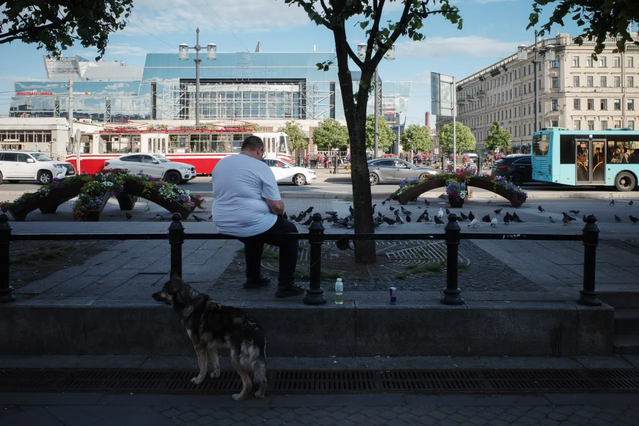 Коротко о решениях местных властей, изменениях в парках и транспорте, а также о региональных и федеральных событиях — от банковских правил до сообщений о пострадавших в результате обстрелов.