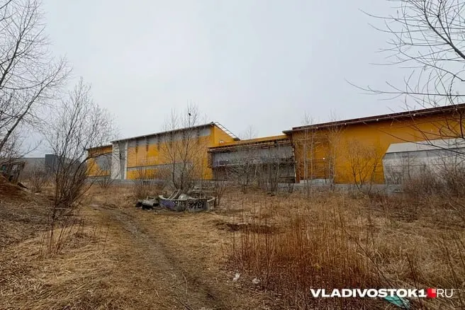Аварийную часть незавершённого физкультурно‑оздоровительного комплекса в Снеговой Пади частично демонтируют и возведут на её месте новый современный ФОК. Подрядчика из Санкт‑Петербурга назначили, работы планируют завершить до конца 2029 года. Пруд с редкими утками сохранят.