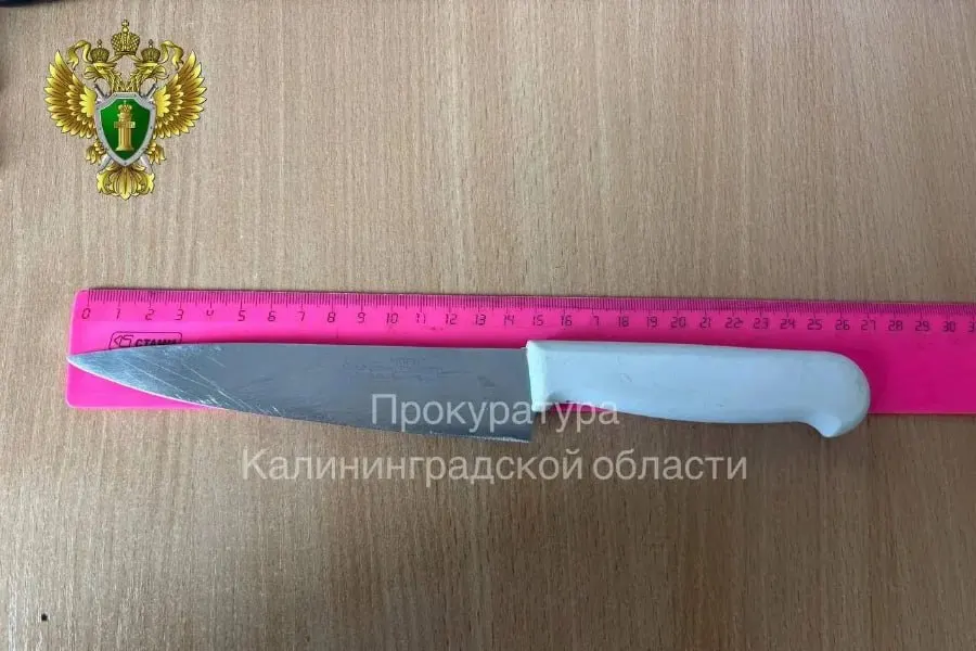 Прокуратура Гвардейского района добилась взыскания 300 тыс. руб. морального вреда с жителя посёлка Комсомольск, который в октябре 2025 года ударил ножом своего 14‑летнего сына. Ранение квалифицировано как лёгкий вред здоровью.