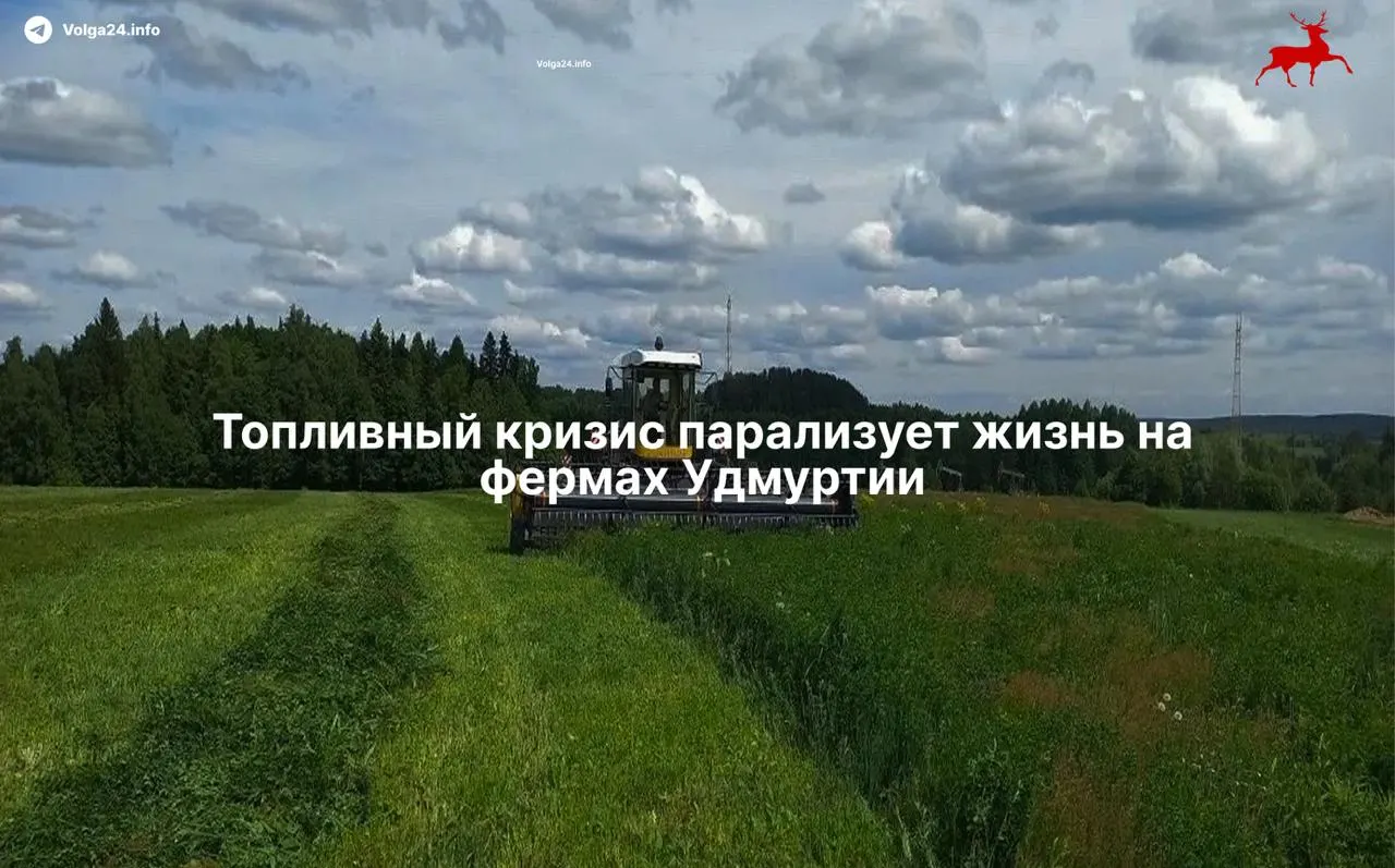Из‑за резкого подорожания дизеля и перебоев с поставками предприятие остановило заготовку кормов, взяло кредит и рискует не успеть с уборкой и транспортировкой товарного карпа.