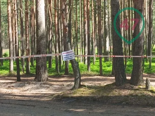 После ночной атаки беспилотников продолжают обезвреживать взрывоопасные предметы: закрыты подъезды, изменено движение автобусов и электропоездов, часть жителей временно эвакуировали.