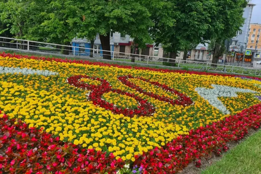 В Калининграде на 50 клумбах города высадили более семи видов летних растений. Новые цветочные композиции появились на проспектах, площадях и в скверах перед праздником.