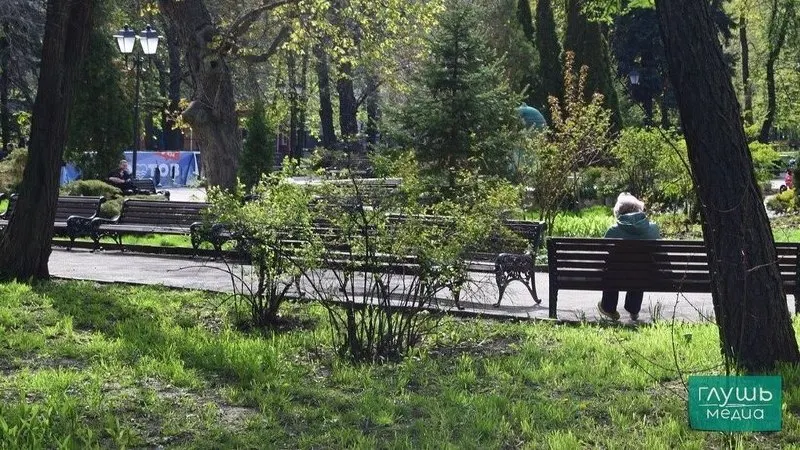 Власти отмечают улучшение приживаемости зелёных насаждений благодаря установке систем автополива и укреплению материально‑технической базы служб благоустройства, при этом жители жалуются на пожелтевшие газоны и нерегулярный полив.