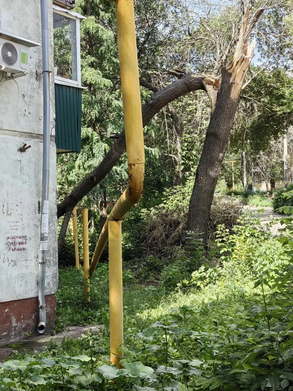 У домов №164 и №168 упавшие ветки повредили газопроводы: утечки не зафиксированы, но жители переживают. Заявку на ремонт подали 22 июня — реакции пока нет.