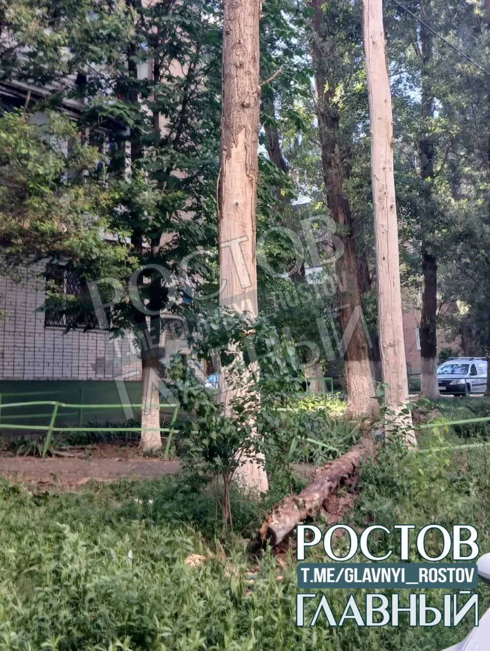 Во время ливня и града возле дома на Оганова, 7 упал сухой ствол рядом с машиной; жители требуют убрать старые и гнилые деревья вокруг.