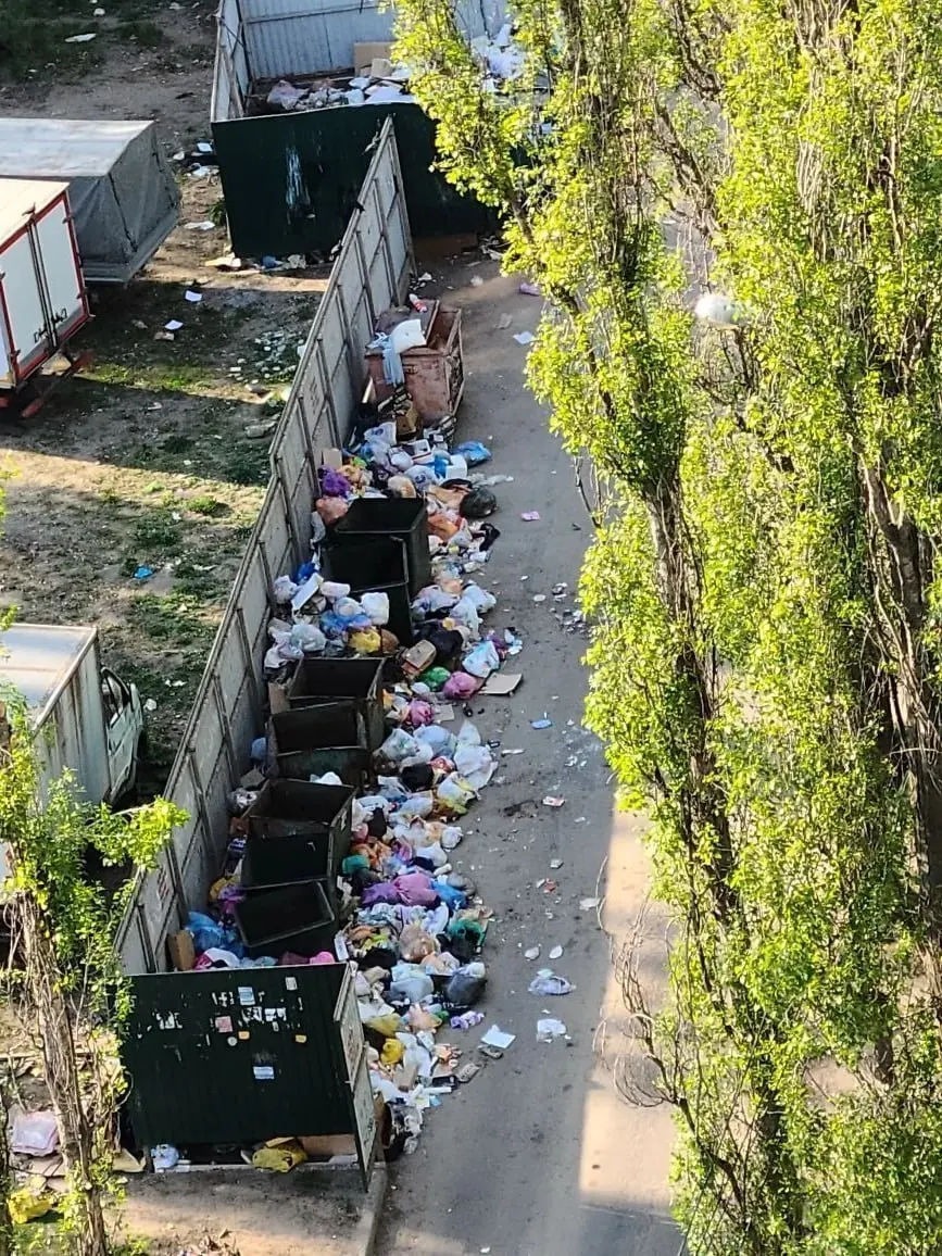 С 2019 года вывозом мусора в Воронеже, Нововоронеже и ряде районов области занимается одна компания — АО «Экотехнологии». Проверки фиксируют системные нарушения, жители жалуются, власти грозят сменой оператора, но быстро решить проблему мешают финансовые и инфраструктурные причины.