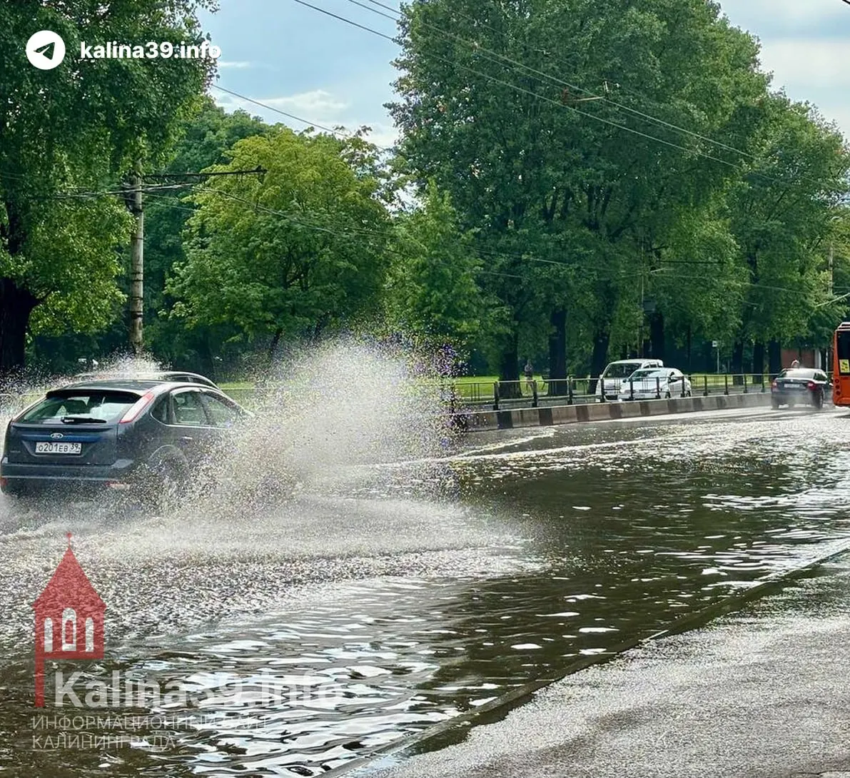 На встречах с прокурорами жители региона жаловались на разбитые дороги, плохой общественный транспорт, высокие коммунальные платежи, проблемы с газификацией и бездействие органов власти.